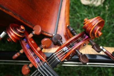 Tempus Strings | Colorado Springs, CO | Classical String Quartet | Photo #7