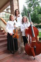 Tempus Strings | Colorado Springs, CO | Classical String Quartet | Photo #8