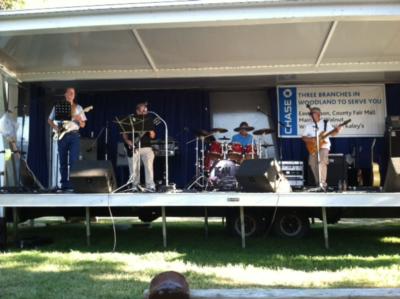 BEAM - Premier Classic Rock | Woodland, CA | Classic Rock Band | Photo #5