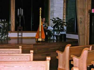 Margaret Atkinson -  4 The Dallas Strings | Dallas, TX | Harp | Photo #10