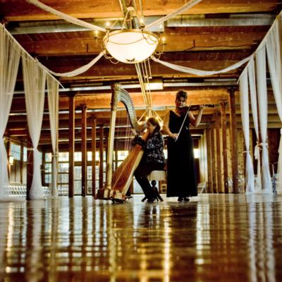 Margaret Atkinson -  4 The Dallas Strings | Dallas, TX | Harp | Photo #15