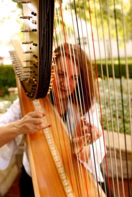 Margaret Atkinson -  4 The Dallas Strings's Main Photo