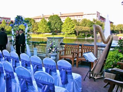 Margaret Atkinson -  4 The Dallas Strings | Dallas, TX | Harp | Photo #24