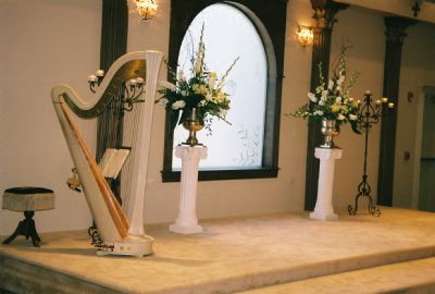 Margaret Atkinson -  4 The Dallas Strings | Dallas, TX | Harp | Photo #7