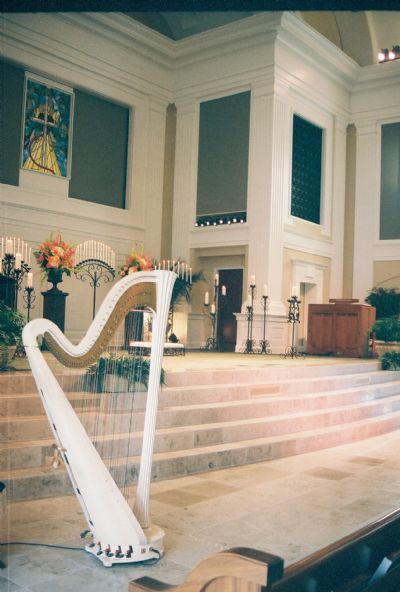 Margaret Atkinson -  4 The Dallas Strings | Dallas, TX | Harp | Photo #8