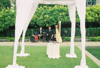 Margaret Atkinson -  4 The Dallas Strings | Dallas, TX | Harp | Photo #9