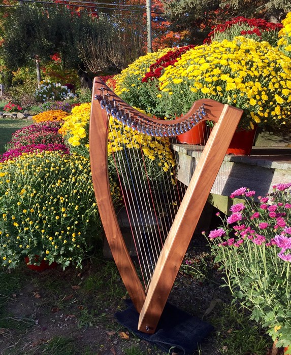 Debbie Vinick Harp Manchester, CT