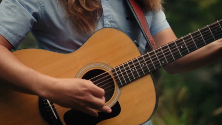 lyle guitars songird lyle guitars songird