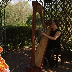 Pompton Lakes, NJ Classical Trio | City Winds Trio and Harp & Flute Duo