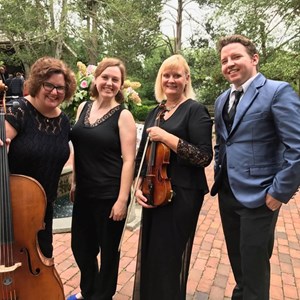 Woodland Park, NJ Classical Violinist | Sweet Harmony ~ Live Music For Special Events