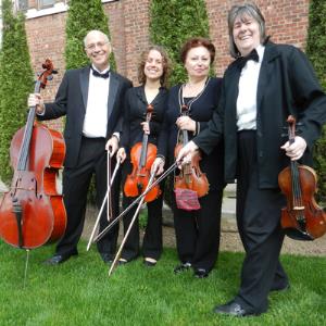 Brooklyn, NY Classical Trio | Stack Strings
